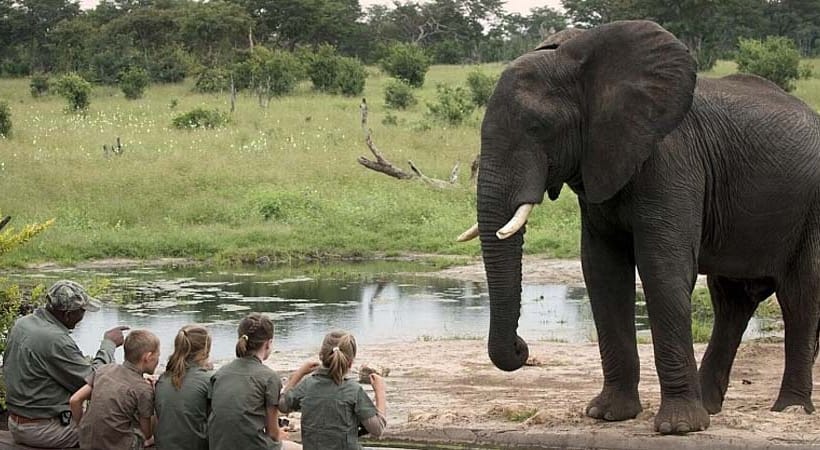 7 Days Botswana Safari Tours