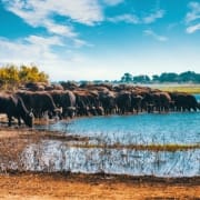 Untitled design - 2023-09-09T154307.478